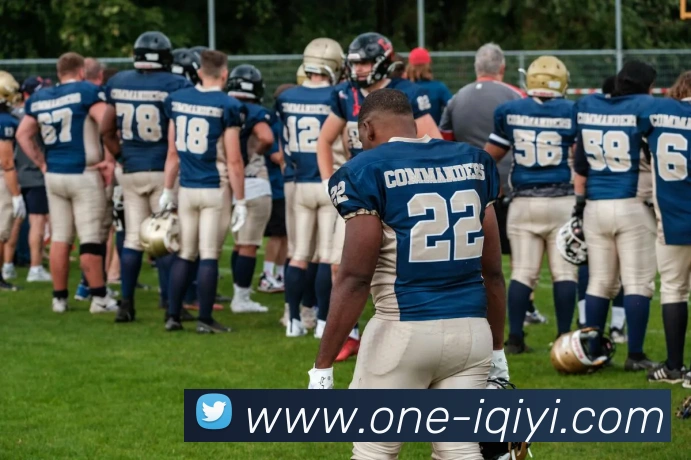 App Interface Preview