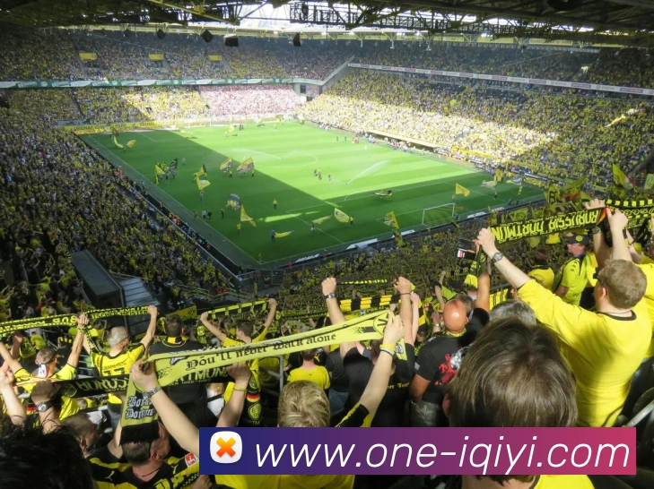 爱奇艺APP 封面图